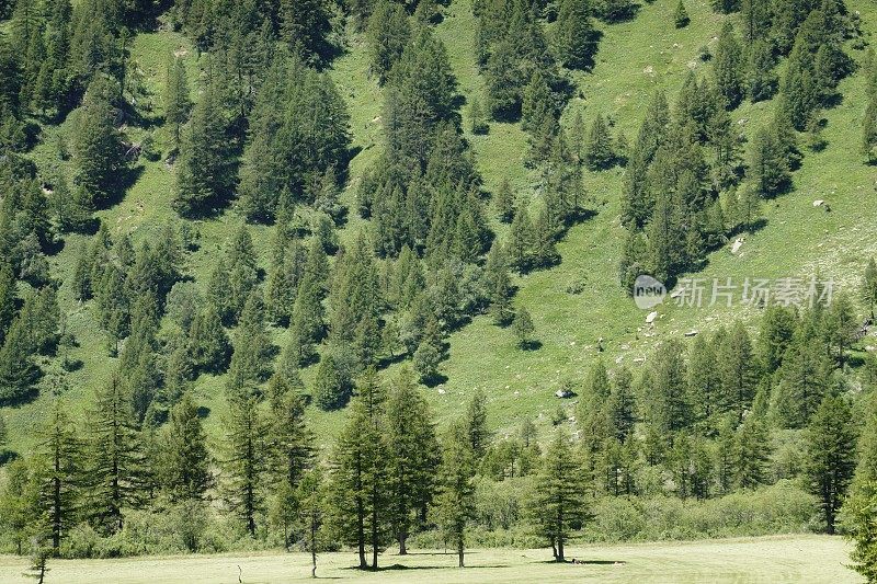 Alpe Devero - Piedmont - Italy报道